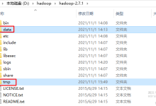 30分钟搞定Hadoop3集群搭建-171主机测评
