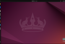 像在Windows里面一样丝滑使用Ubuntu24.04-171主机测评
