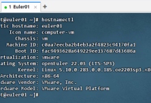 openEuler 25.09 实操指南:飞腾 arm64 服务器的 C 程序开发与 Hadoop 伪集群部署及性能测试-171主机测评