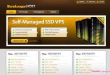 搬瓦工vps:10Gbps美国vps cn2 gia,1Gbps香港cn2vps gia,10Gbps日本软银vps-171主机测评
