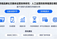 跨境品牌社交媒体运营效率研究:人工运营的效率瓶颈在哪里-171主机测评
