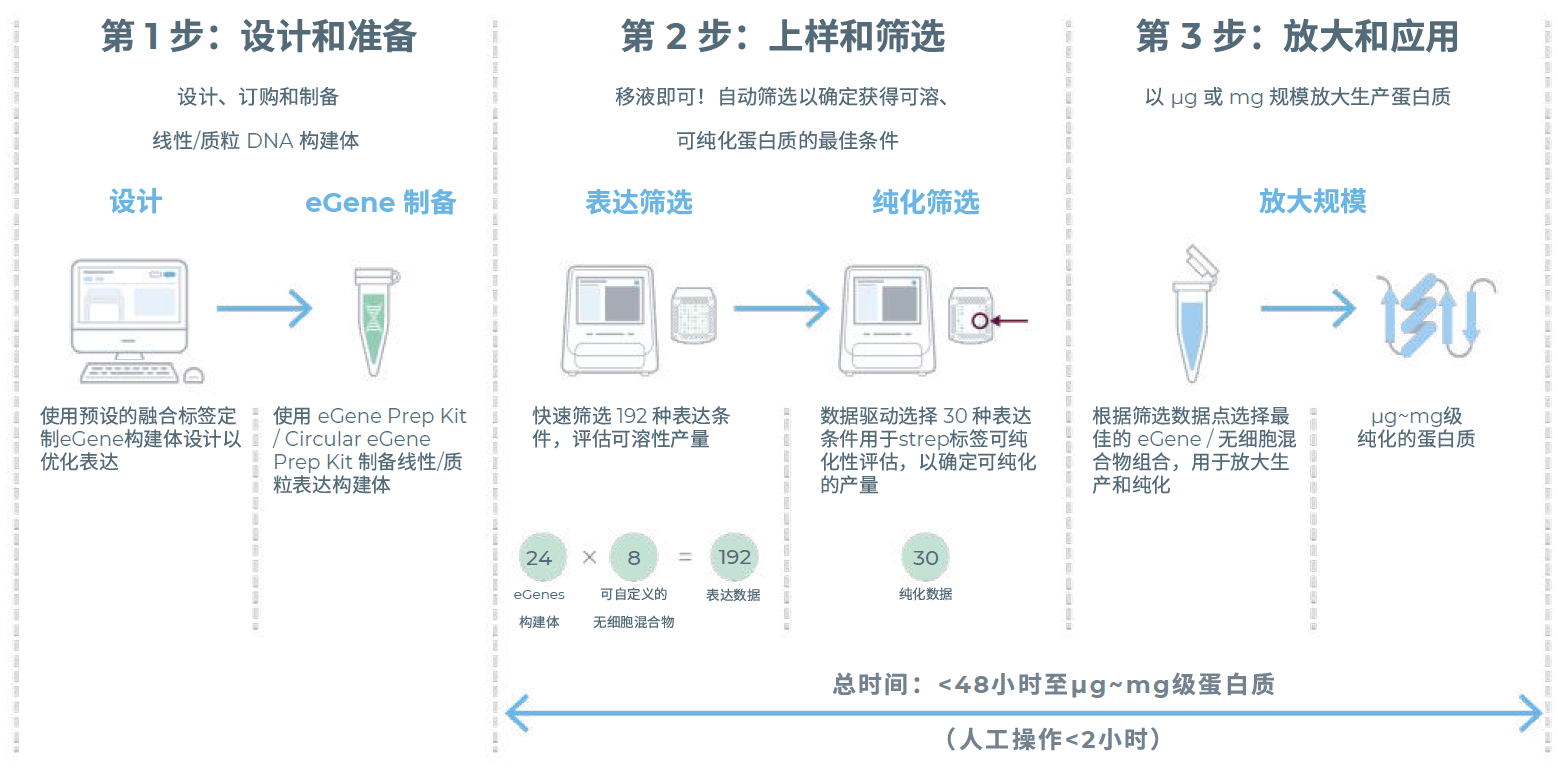 Nuclera eProtein Discovery workflow