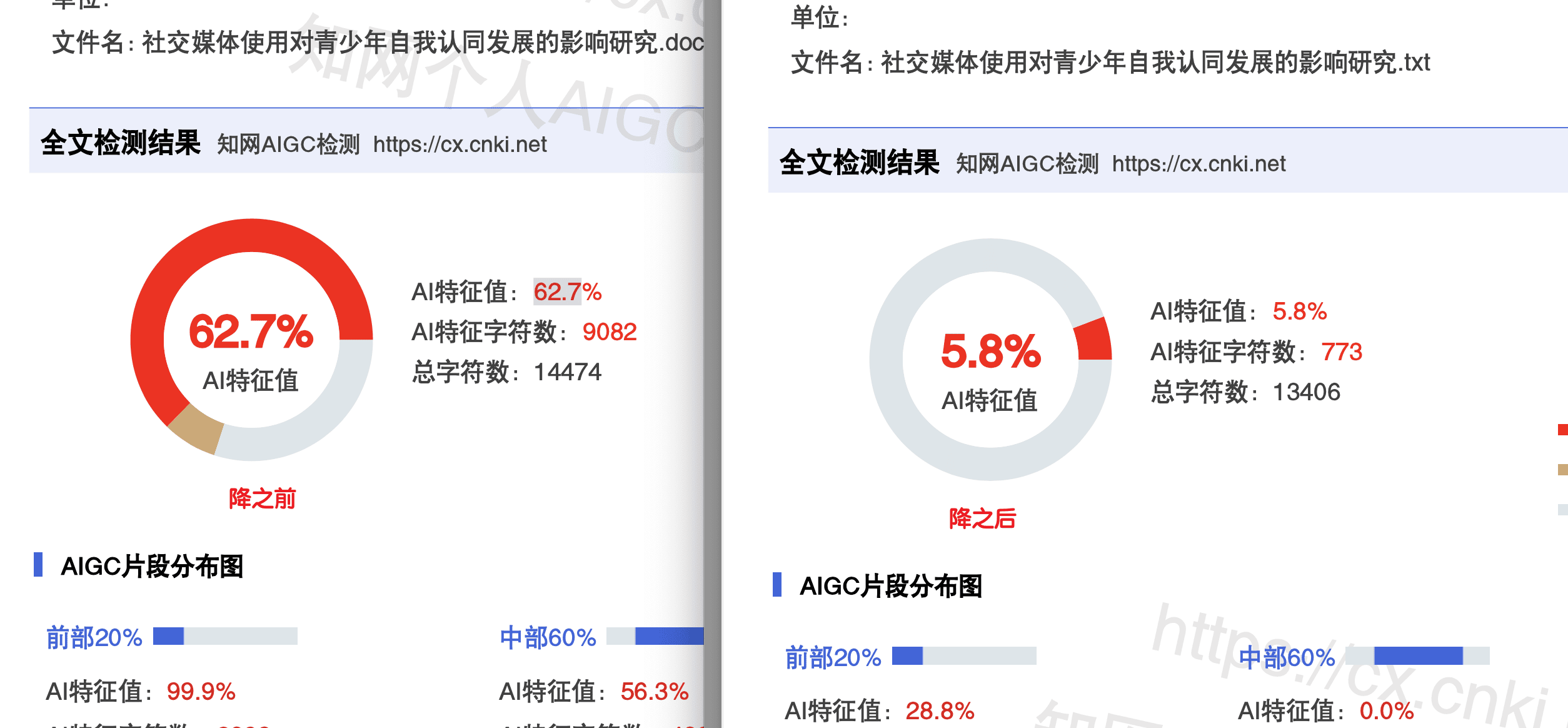 知网检测详细报告
