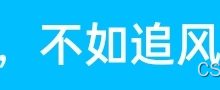 *轻便ansi指令『终端容器』——我的单行color函数-171主机测评