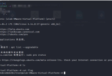 Telnetd零认证提取漏洞 and RCE-171主机测评