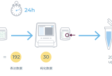 无细胞蛋白表达系统解析：48小时获取CD19蛋白的高通量筛选方法-171主机测评