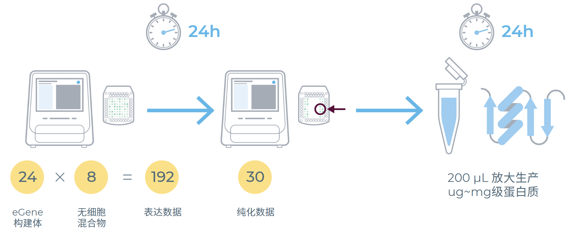 无细胞表达流程