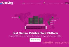 GigsGigsCloud：美国高防云服务器5折,最低首月$8美元/续费$16美元/月-171主机测评