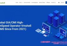 VmShell:新上美国洛杉矶CN2 GIA线路VPS;100M带宽/年付8折/香港CMI也参与优惠-171主机测评