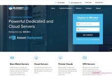 BudgetVM：洛杉矶&日本vps;2核/4GB/200GB/100Mbps不限流量/高防vps,$29/月-171主机测评