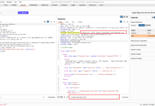 DVWA靶场——Content Security Policy Bypass(CSP 内容安全策略)-171主机测评