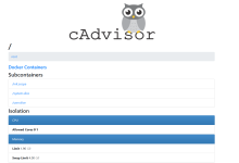 cAdvisor容器监控实战：Docker部署、指标查看与公网访问-171主机测评