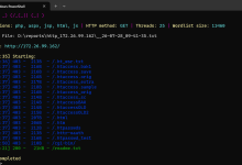 CTFWeb Writeup|dirsearch 目录爆破 + JSFuck + PHP 变形混淆解析-171主机测评