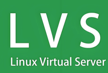 LVS （Linux virtual server）-171主机测评