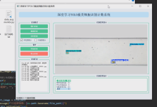 毕设项目 深度学习yolo藻类细胞检测识别(科研辅助系统)(源码+论文)-171主机测评