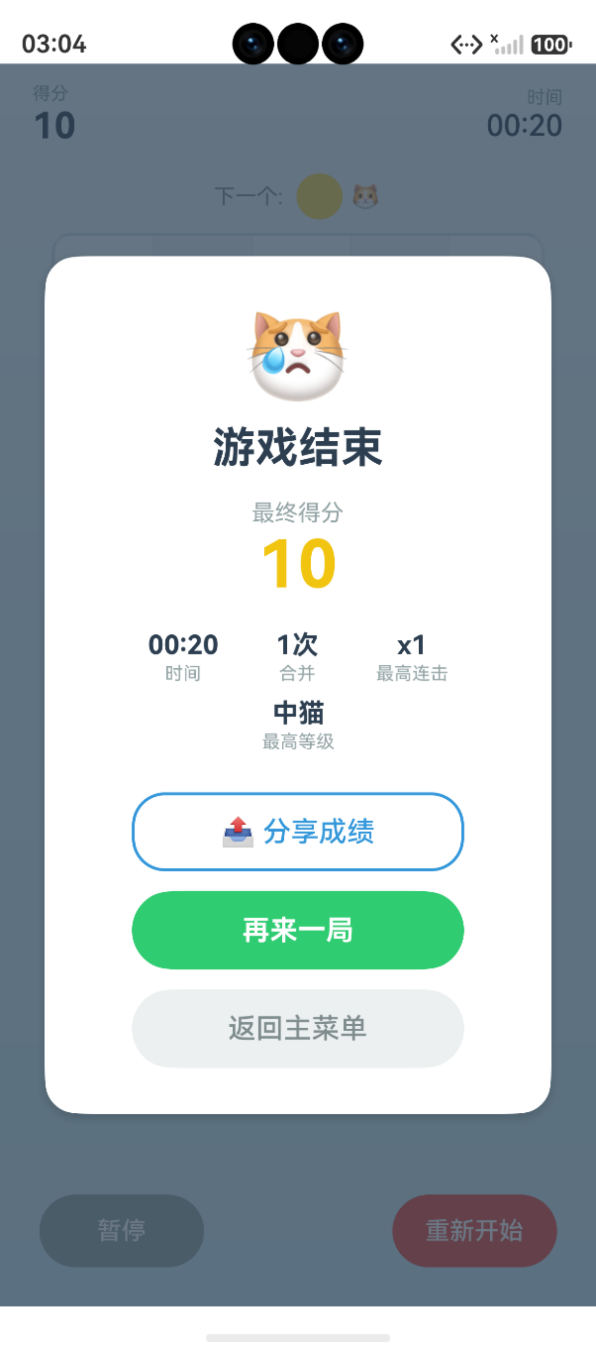 页面预览