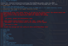 Web 安全之 Git 泄露:原理剖析 + CTFHub Log/Stash/Index 全题型解法-171主机测评