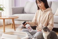 皮小兽宠物除臭喷雾技术指标全解析:基于6份检测报告的参数对比与5大臭味源实测-171主机测评