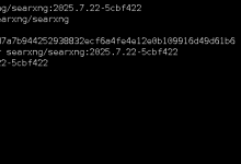 Docker实战:使用Docker部署SearXNG互联网元搜索引擎-171主机测评
