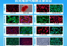 打破海外垄断!云克隆多物种神经原代细胞四大核心竞争力-171主机测评