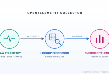 你拥有 IP，你想要主机名：为 OpenTelemetry 构建一个查找处理器-171主机测评
