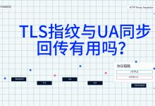 真实 TLS 指纹与 UA 同步回传 TLSFOWARD TLS指纹-171主机测评