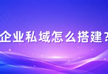 企业私域运营怎么做?从引流、留存到复购的完整流程-171主机测评