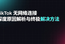 TikTok 无网络连接解决方法(2026 年指南):原因及解决方法-171主机测评