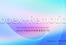 Remotion让视频创作告别剪按钮——AI生成视频+像素级精准控制！cpolar内网穿透实验室第700个成功挑战-171主机测评