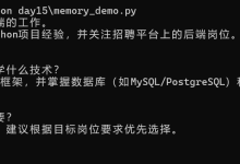 记录下学习agent应用开发的第15天(实现Langchain下的memory)-171主机测评