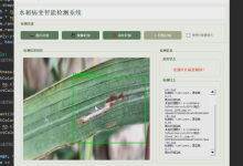 毕设项目分享 深度学习yolo11水稻病害检测识别系统(源码+论文)-171主机测评