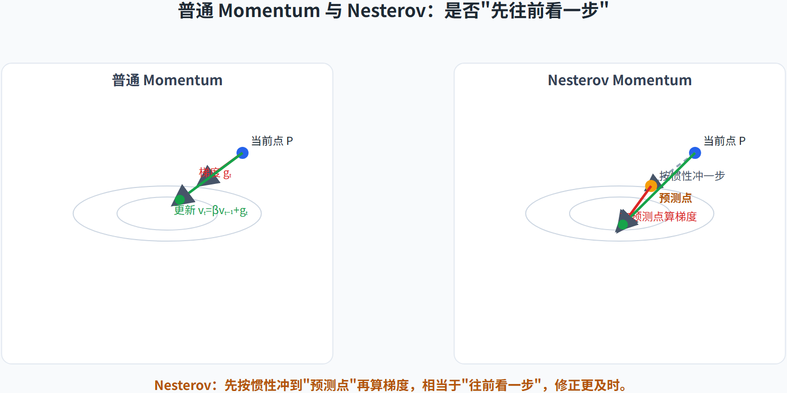 左右两小图对比普通 Momentum 与 Nesterov