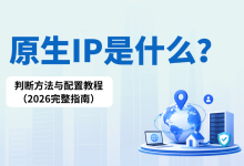 原生IP是什么?判断方法与配置教程(2026完整指南)-171主机测评