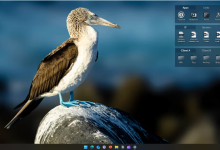 Stardock Fences 6(桌面整理工具)-171主机测评