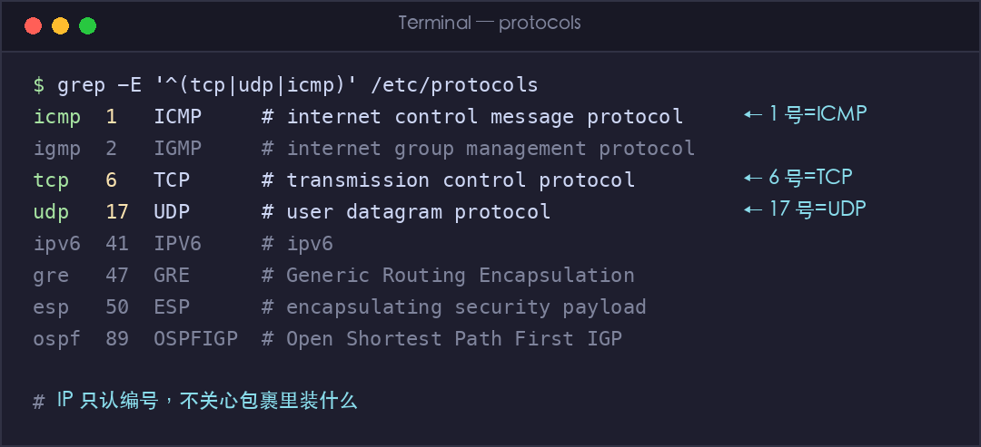 真实截图:/etc/protocols 中的 IP 协议号