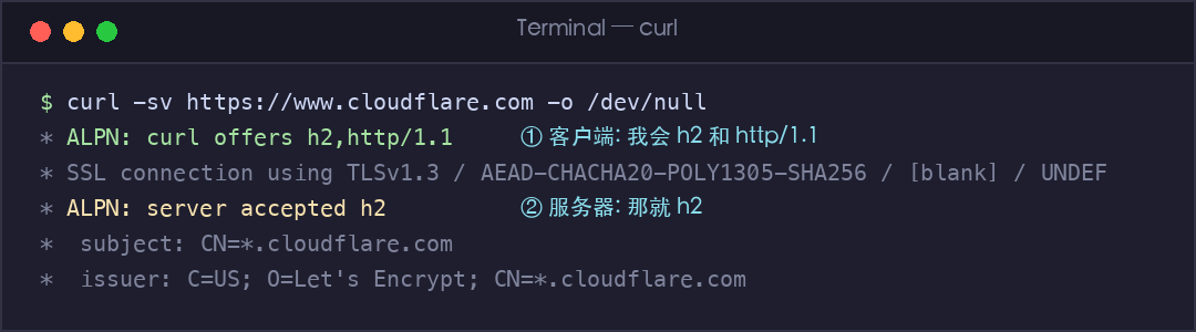 真实截图:ALPN 协议协商过程