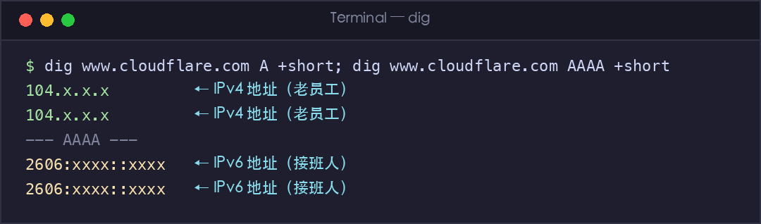真实截图:同一域名的 IPv4 与 IPv6 双栈解析