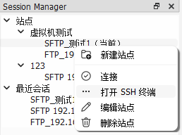 从已保存站点打开 SSH 终端