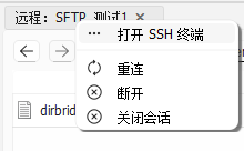 从 SFTP 远程文件会话打开 SSH 终端
