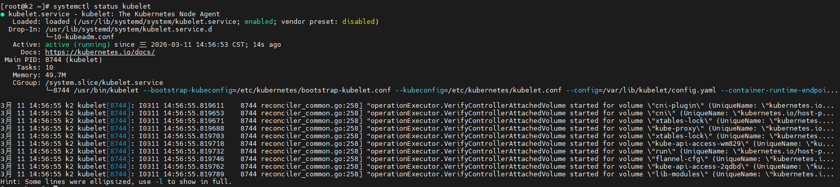 image-20260311145842315