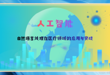 人工智能:自然语言处理在医疗领域的应用与实战-171主机测评