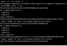 Containerlab实战系列之七：Containerlab edgeshark 集成-171主机测评