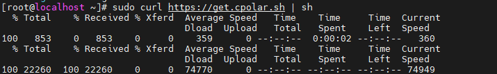 image-20250814101639846