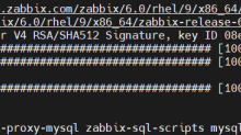Day 17-Zabbix Proxy 分布式监控 + ELK 日志可视化分析-171主机测评