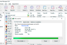 Internet Download Manager（IDM）安装与配置详细教程-171主机测评