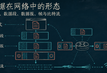 【计算机网络 | 概述3:数据在网络中的形态:报文、数据段、数据报、帧与比特流】-171主机测评