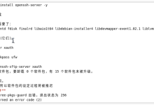 银河麒麟 OpenKylin 安装 SSH 服务指南-171主机测评