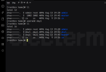 Linux 基础命令-171主机测评