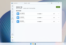 雨晨 Windows 11 IoT 企业版 26H1 轻装 28000.2705 正式版-171主机测评