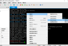 麒麟高级服务器操作系统 V10 源码编译安装 Python 3.11 完整指南-171主机测评
